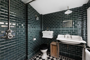 Photo 8- click for photo gallery